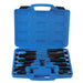 Steel Blue DTNZ 12PC 6 Flat Head & 6 Phillips Screwdriver Set Screwdrivers